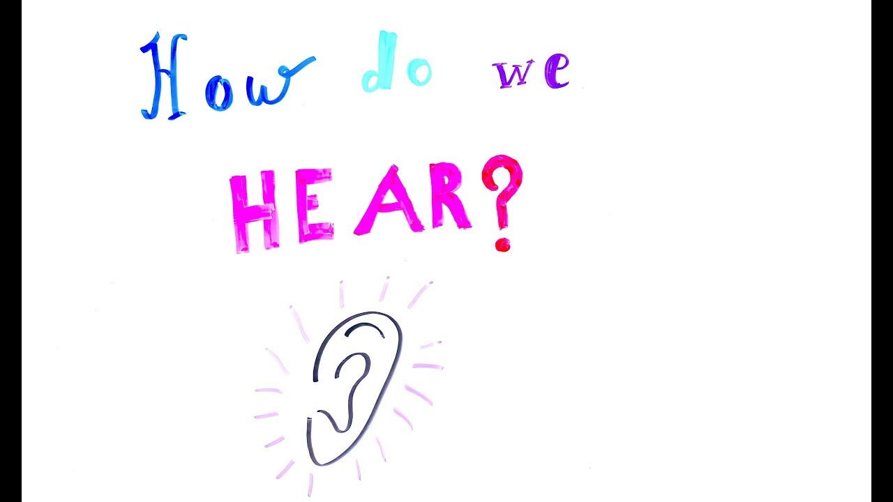 How do we hear?
