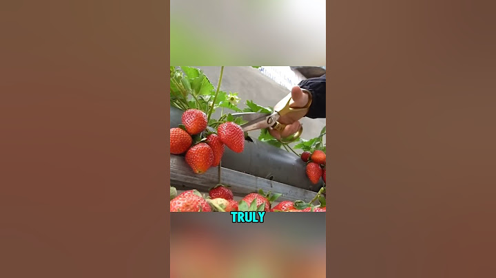Innovative Home Strawberry Growing Using a PVC Pipe #shorts