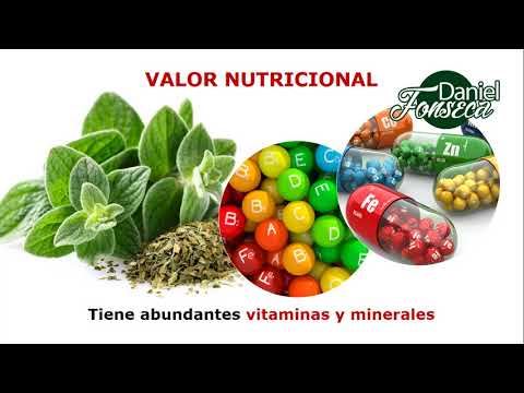 Vídeo: Orégano: Propiedades útiles, Valor Nutricional, Vitaminas