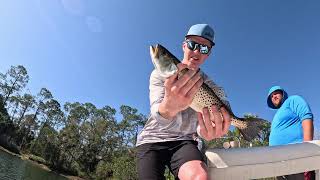 Multi-Species Mayhem! Florida Inshore Fishing Adventure