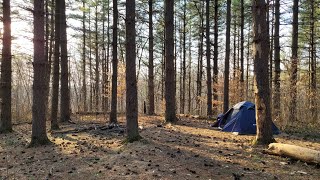 Wildcat Hollow solo overnighter