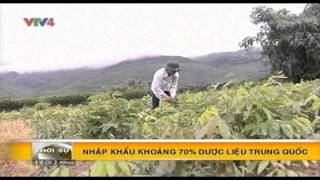 Bản tin thời sự Tiếng Việt 16h - 28/02/2016