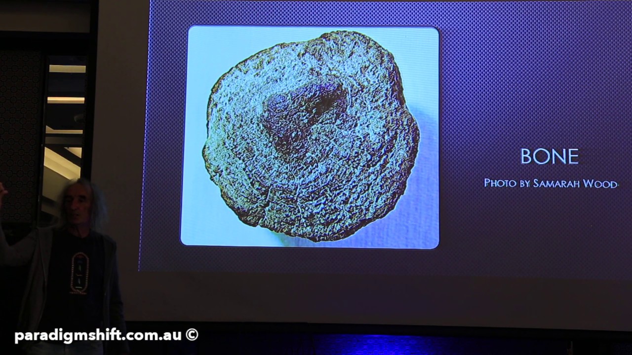 Steven & Evan Strong – the true history of Australia  – skulls, hieroglyphs  & rocks