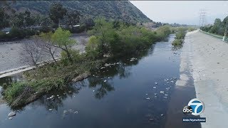 How LA River cleanup project avoids homeless encampment issues | ABC7