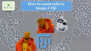 Cell Counting Made Easy: Using ImageJ to Analyze Microscopy Images