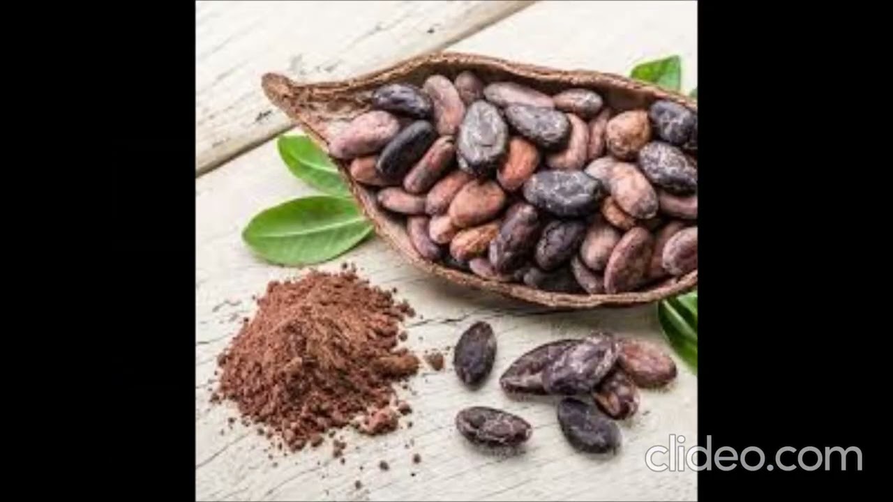 UDI olmecas y guaranies tp final B.F.N 2025/2026