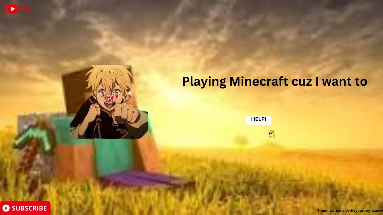 PLAYING RANDOM MINECRAFT SERVERS - YouTube