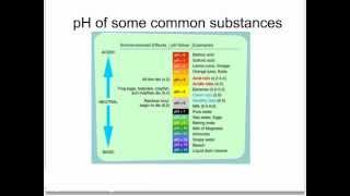 OCR Gateway C2 Acids And Alkalis (Higher)