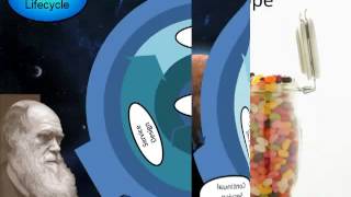 006 CSU  ITIL v3 The Service Lifecycle Model