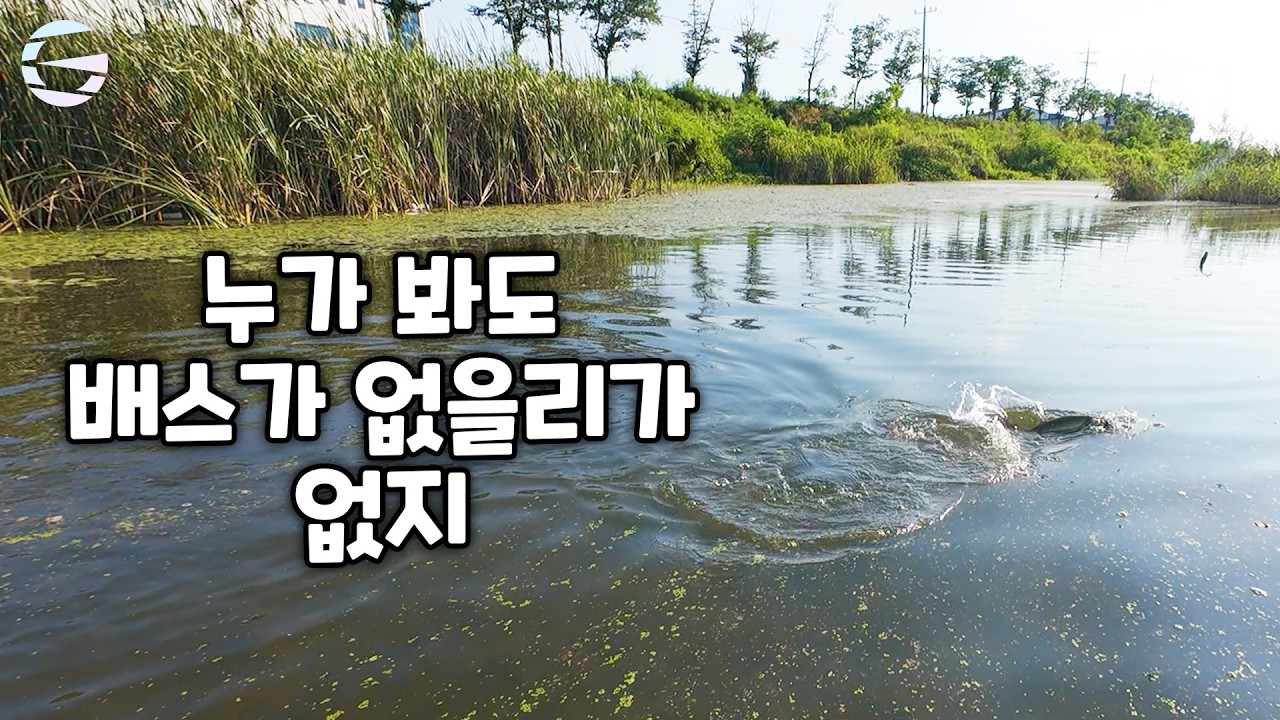 폭염에 시원하게 즐기는 배스낚시