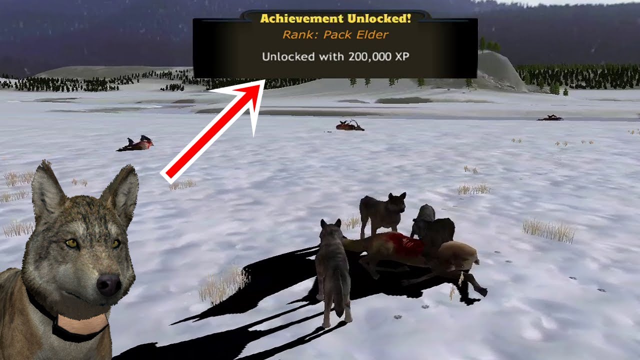 Wolf Quest Multiplayer Rank Pack Elder Gameplay Episode 58 YouTube