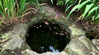 Dunnamaggan: St Leonard's Well
