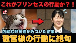 ただ近づいただけなのに…敬宮さまの前で動物が見せた“変化” #海外の反応 #皇室