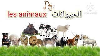 تعلم اللغة الفرنسية: الحيوانات باللغة الفرنسية مترجمة بالعربية مع الصوت والصورة les animaux