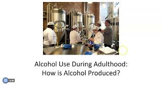 Alcohol Use as an Adult: How alcohol is Brewed