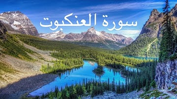 سورة العنكبوت بصوت القارئ عبدالرحمن مسعد #قران_كريم #اكسبلور#قران_كريم_بصوت_جميل_جدا #عبدالرحمن_مسعد
