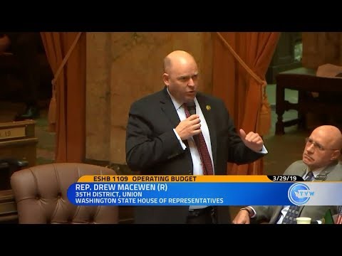 state representatives florida Rep. MacEwen's remarks on the House Democrats' 2019-21 operating budget proposal