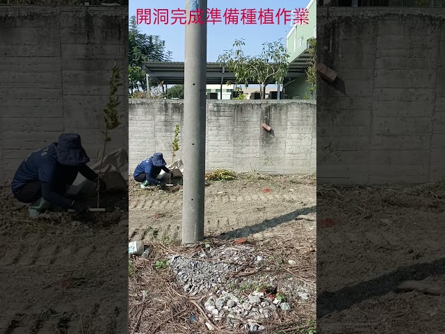 柏君園藝 -  柏君園藝 -