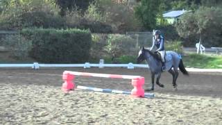 Grid Work + Fall - Jumping Lesson 10-5-12