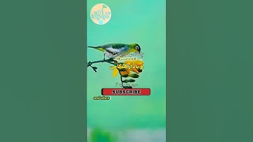 سوره مبارکه صف آیه 6