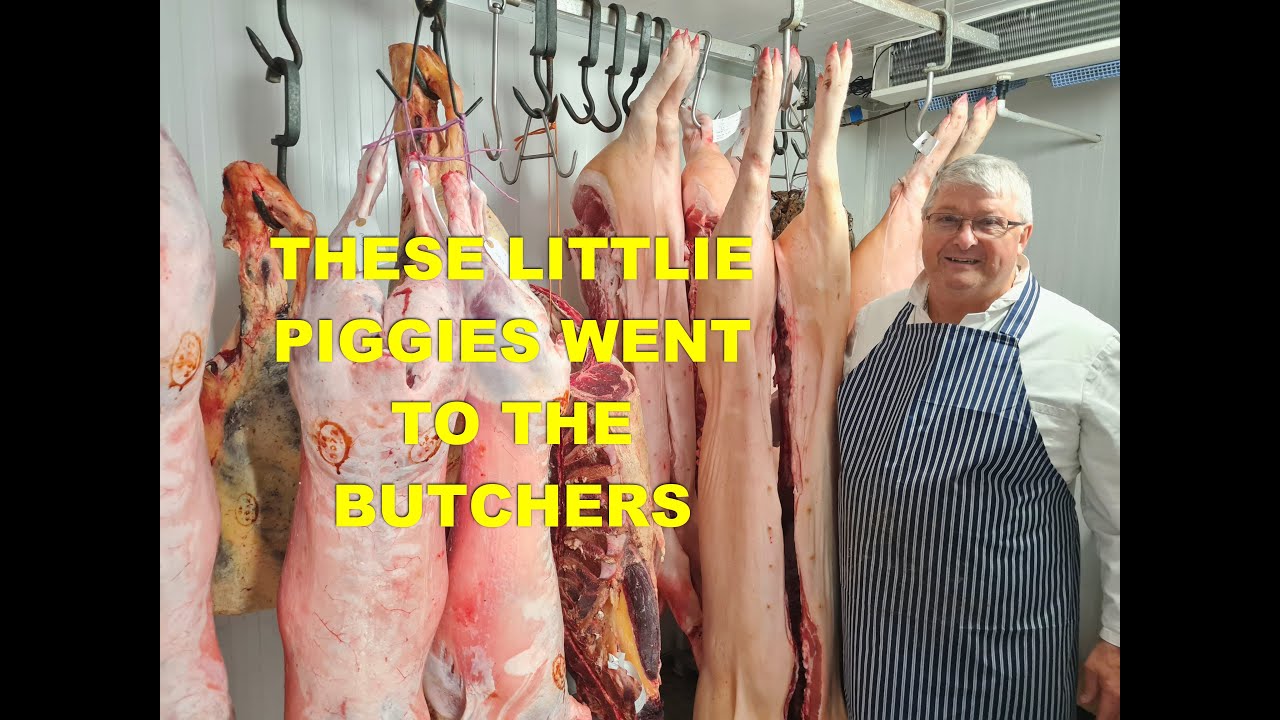 Эти маленькие поросята отправились к мясникам