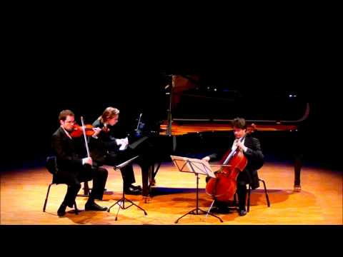 Sibelius Piano Trio "Lovisa", JS 208 (1888) 1. Allegro