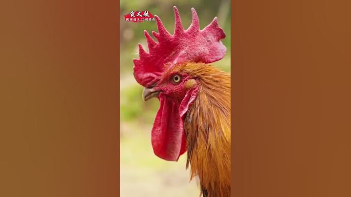 The Kung Fu Master used his Dragon Claw to defeat the Kung Fu Chicken and save his wife! #kungfu