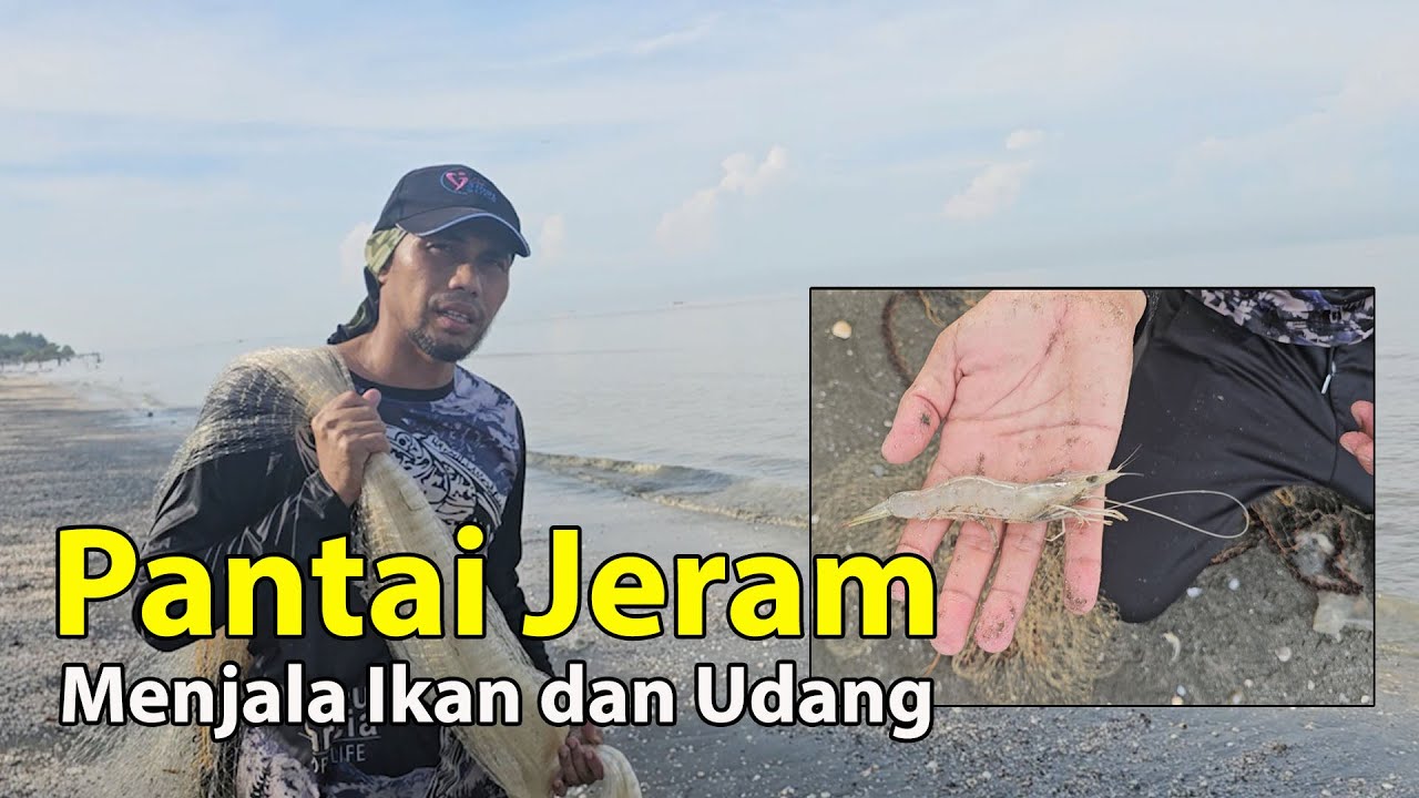 Menjala Udang dan Ikan Di Pantai Jeram Selangor || Udang Saiz Padu