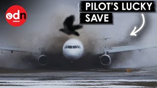 Plane Skids off Icy Runway > General Discussion > AR15.COM