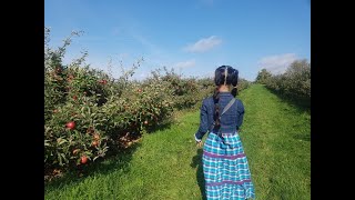 Apple Varieties In Canada