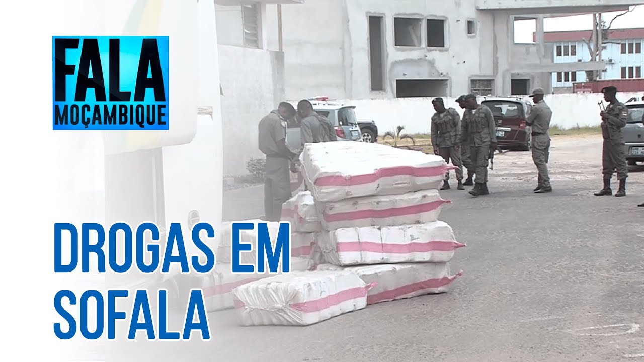 A Policia apreendeu mais de meia tonelada de droga