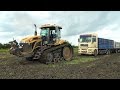 Borsó aratás [Ploeger EPD 538] [MAN&Volvo trucks] Cat Challenger MT 765C