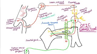Otic Ganglion screenshot 1
