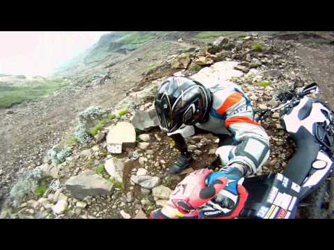 Out On A Limb must see 1min.flv