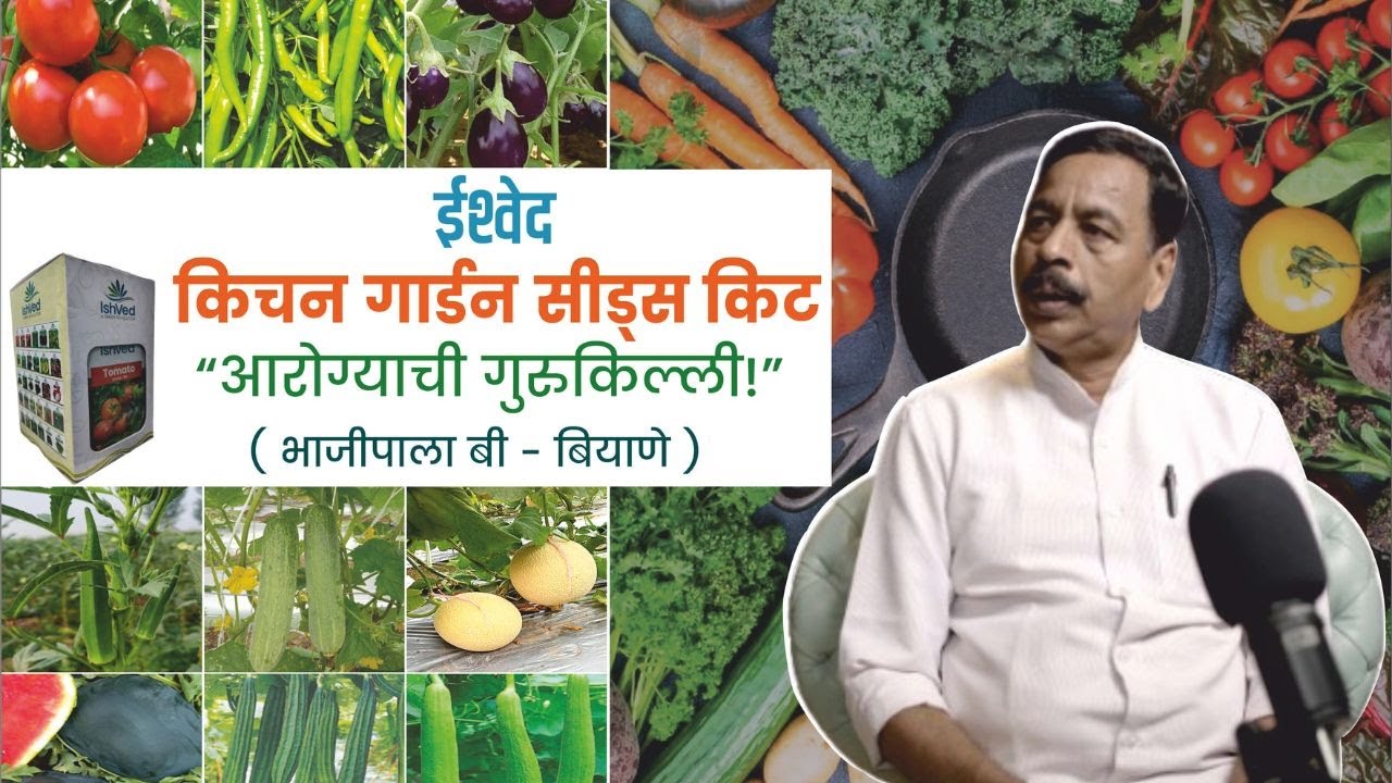 ईश्वेद किचन गार्डन सीड्स किट, आरोग्याची गुरुकिल्ली । संपर्क : +91 7030786077, 8830148822