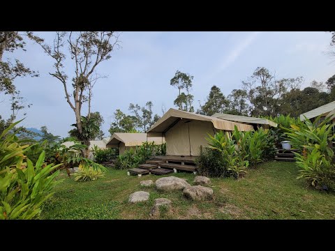 Glamping at Canopy Villa Nuang Hill, Malaysia