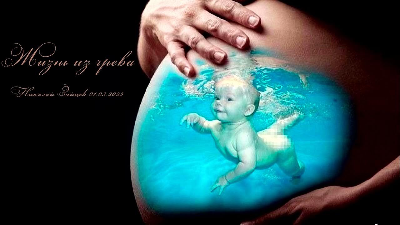 Видео рождение жизни. Рождение человека.