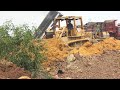 Best Activity Bulldozer Pushing Dirt with Dump Truck Dumping Dirt in Action