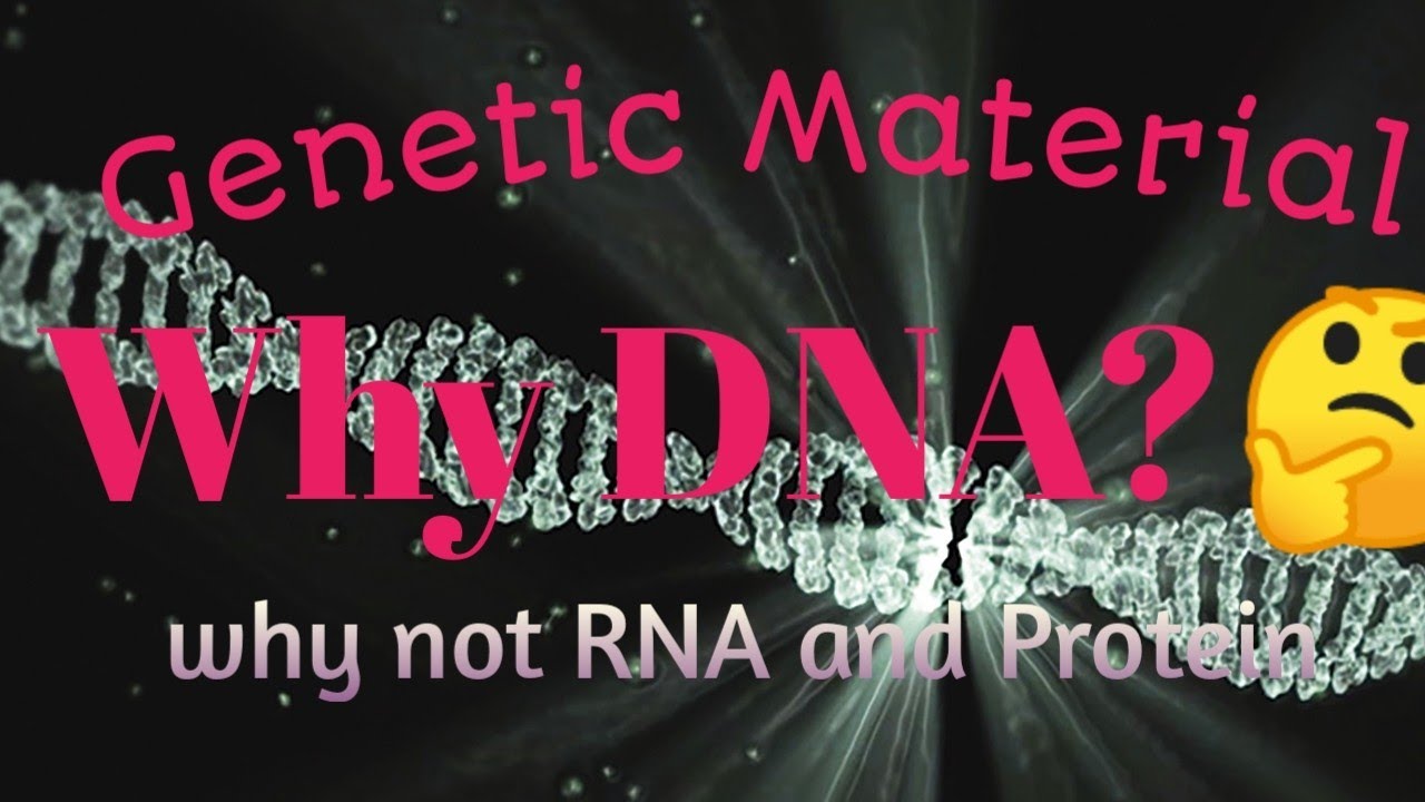 Why DNA is Genetic Material? Why Not RNA and Protein ? - YouTube