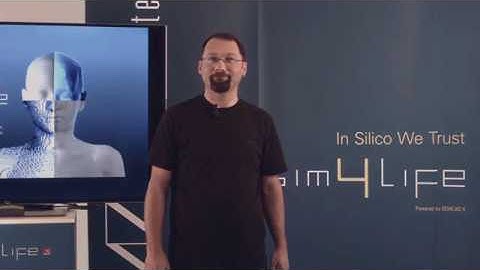 Sim4Life Flow Solver