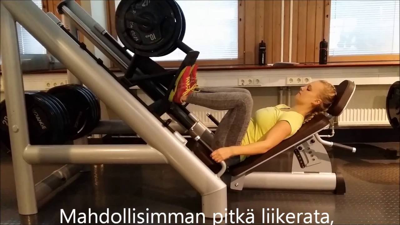 Aloittelijan kuntosaliohjelma