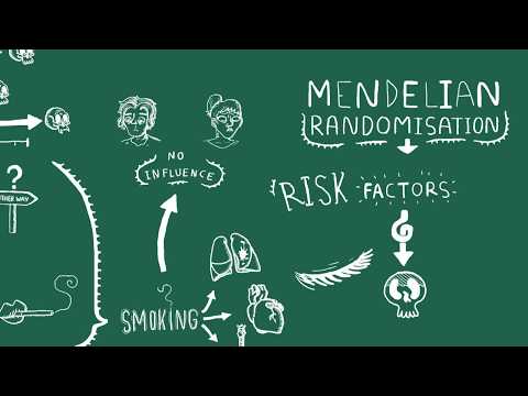 A two minute primer on mendelian randomisation