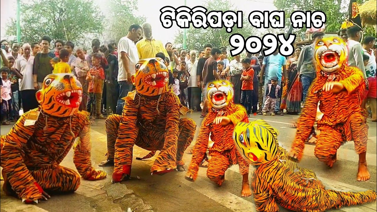 ଟିକିରିପଡା ଦଣ୍ଡ ନାଚ ୨୦୨୪📌//Tikipada danda nachha 2024 //bagha nachha 🐅//@babuofficialvlogs567