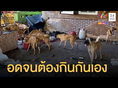 เวทนาสุนัข 15 ตัว ถูกทิ้งให้อดอยากจนต้องกินกันเอง | ข่าวเที่ยงอมรินทร์ | 20 พ.ค.65