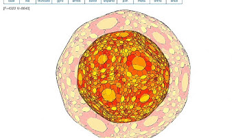 dkbaekD, that is, dodecahedron transformed using various Conway operations