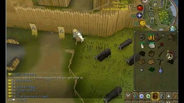 Shadow Pkz 562 - Best 562 Server