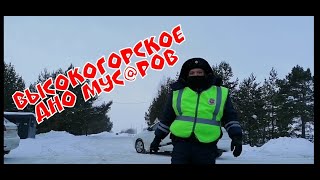 картинка: ВЫСОКОГОРСКОЕ ДНО МУС@РОВ