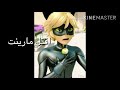 الجزء الثالث من الدعسوقة الحقيقة القط الأسود قتل مارينت الوصف
