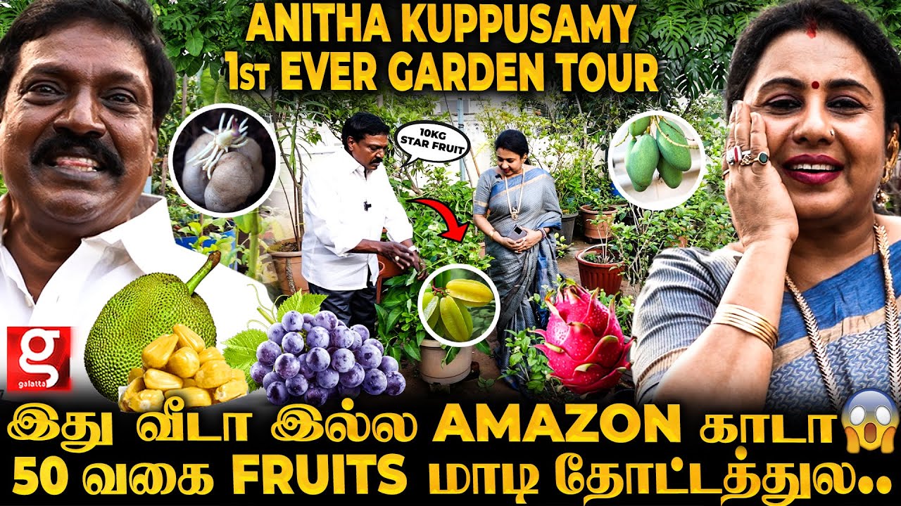 ANITHA KUPPUSAMY GARDEN TOUR 🏡 இது மாடி இல்ல பழத்தோட்டம் 😍 வீட்ல Easy-ஆ  Fruits வளர்ப்பது எப்படி ?