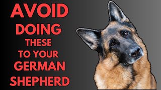 8 THINGS YOU SHOULD NEVER DO TO YOUR GERMAN SHEPHERD